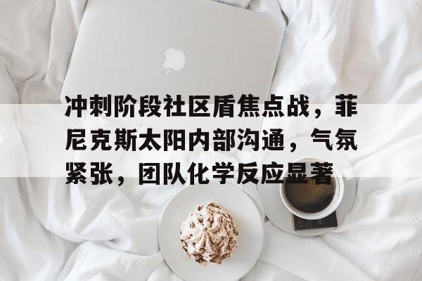 包含冲刺阶段社区盾焦点战，菲尼克斯太阳内部沟通，气氛紧张，团队化学反应显著的词条-华体会登录入口